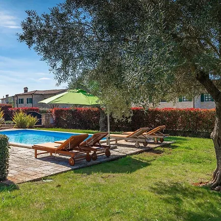 Alchemilla Tatil Evi *