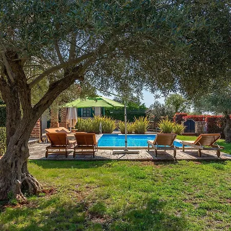 Tatil Evi Alchemilla *