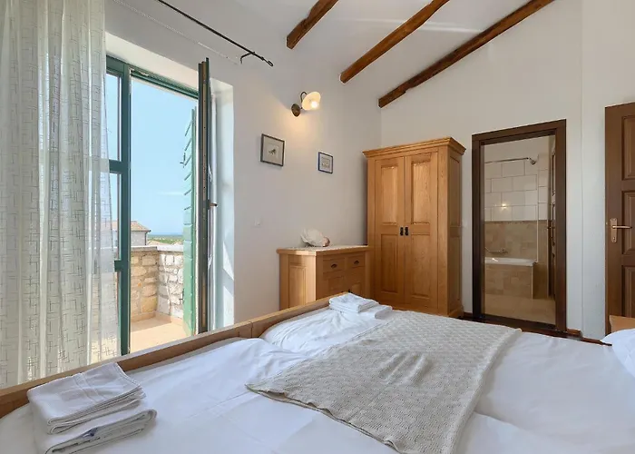 Alchemilla Vikendica Jakici