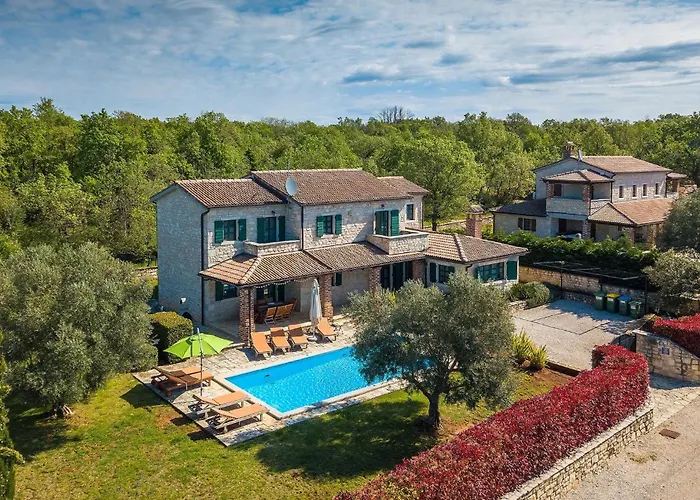 Alchemilla Vikendica *