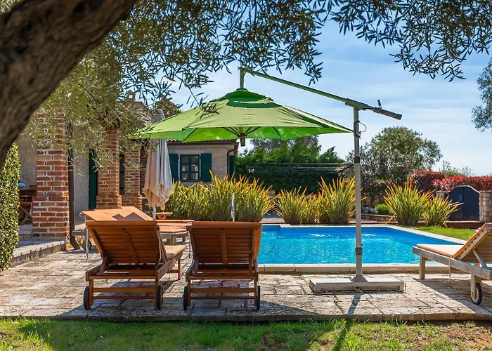 Alchemilla Vikendica Jakici