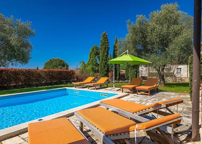 Alchemilla Vikendica *