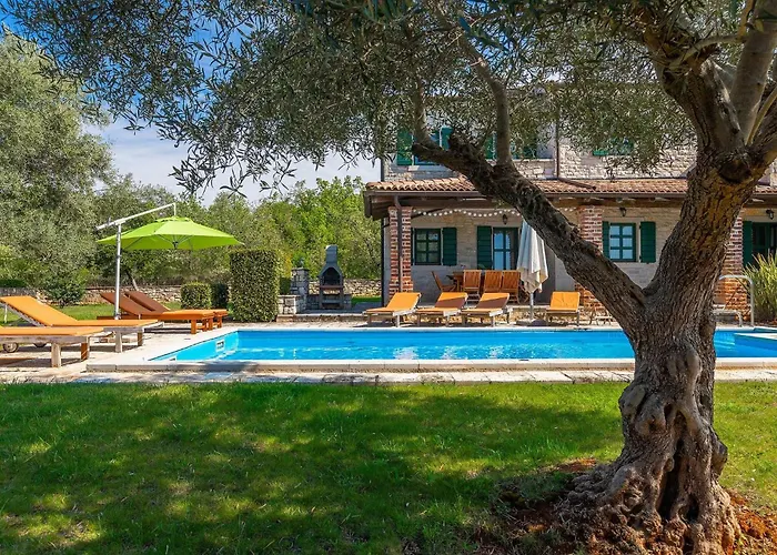 Alchemilla Vikendica *